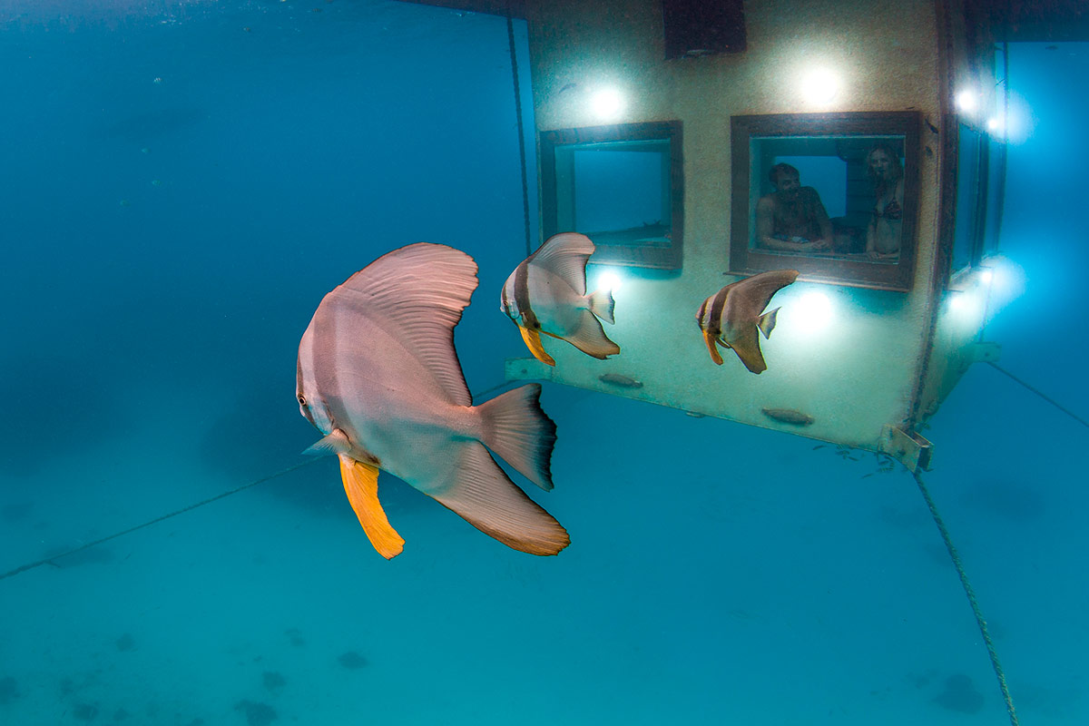 Подводный отель Manta 
Underwater Room от Genberg